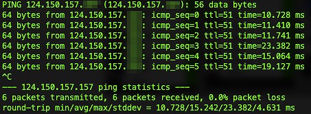 ターミナルに表示