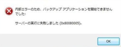 0x80080005