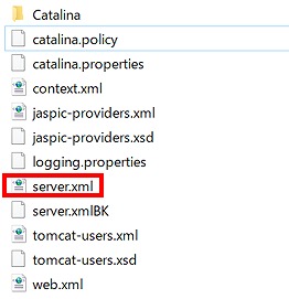 server.xml