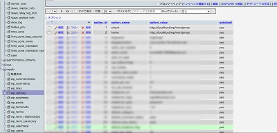 wp_options