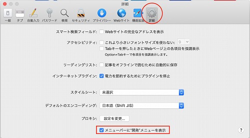 メニューバーに開発メニューを表示